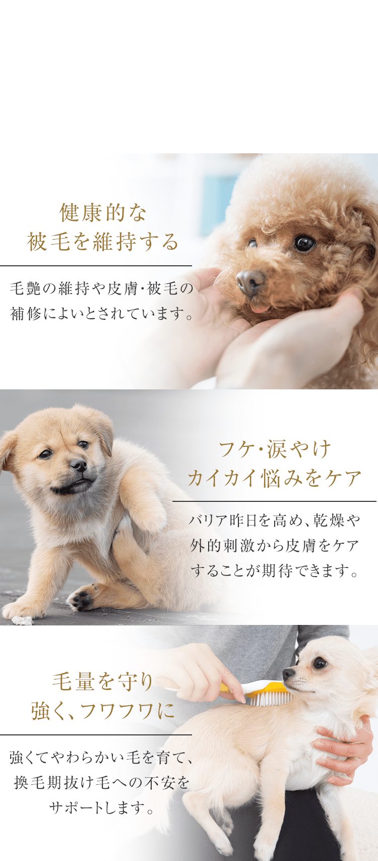 MIRANEST|皮膚トラブルや被毛に悩む愛犬のための ツバメの巣ゼリー