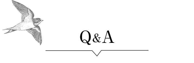 Q&A