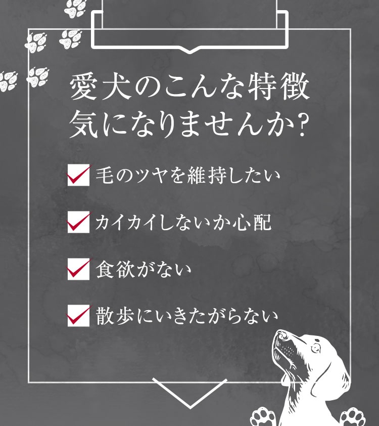 愛犬のこんな特徴 気になりませんか？